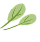 leaf decoration