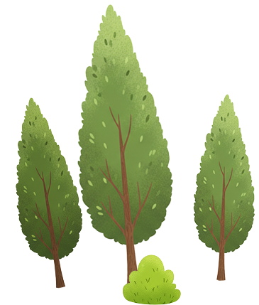 Banner section left decoration